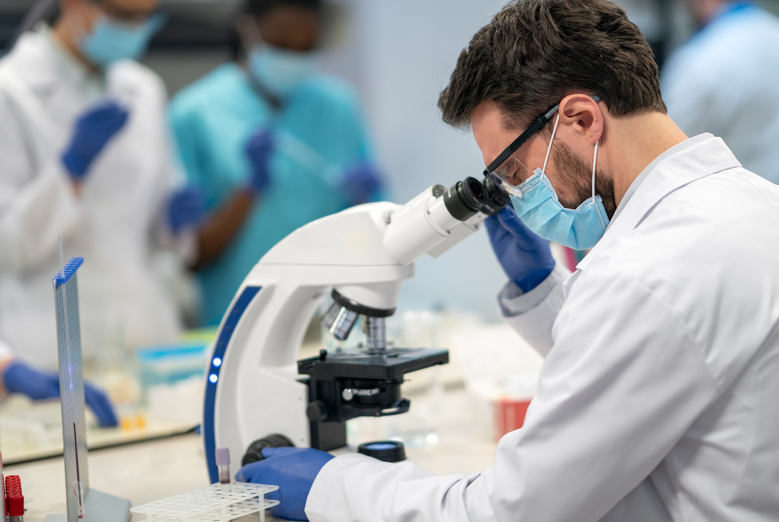 Deliverable 1.1: EU Regulatory Analysis for Strains and Substrates