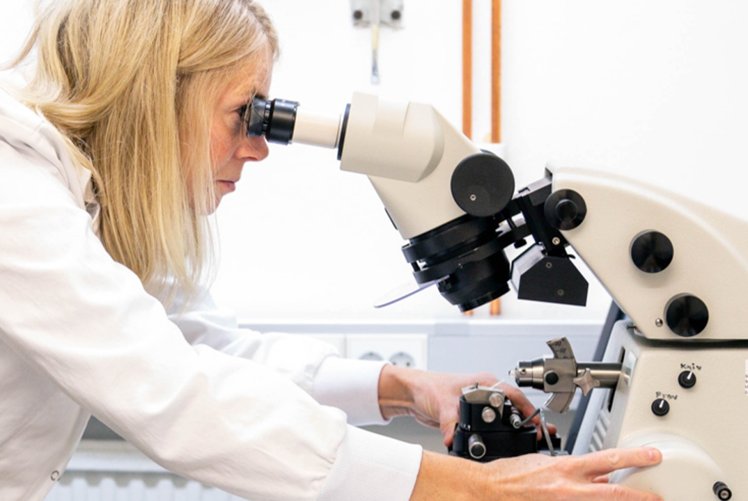 Deliverable 1.3: Bioinformatic Characterisation and Selection of Fungal Species