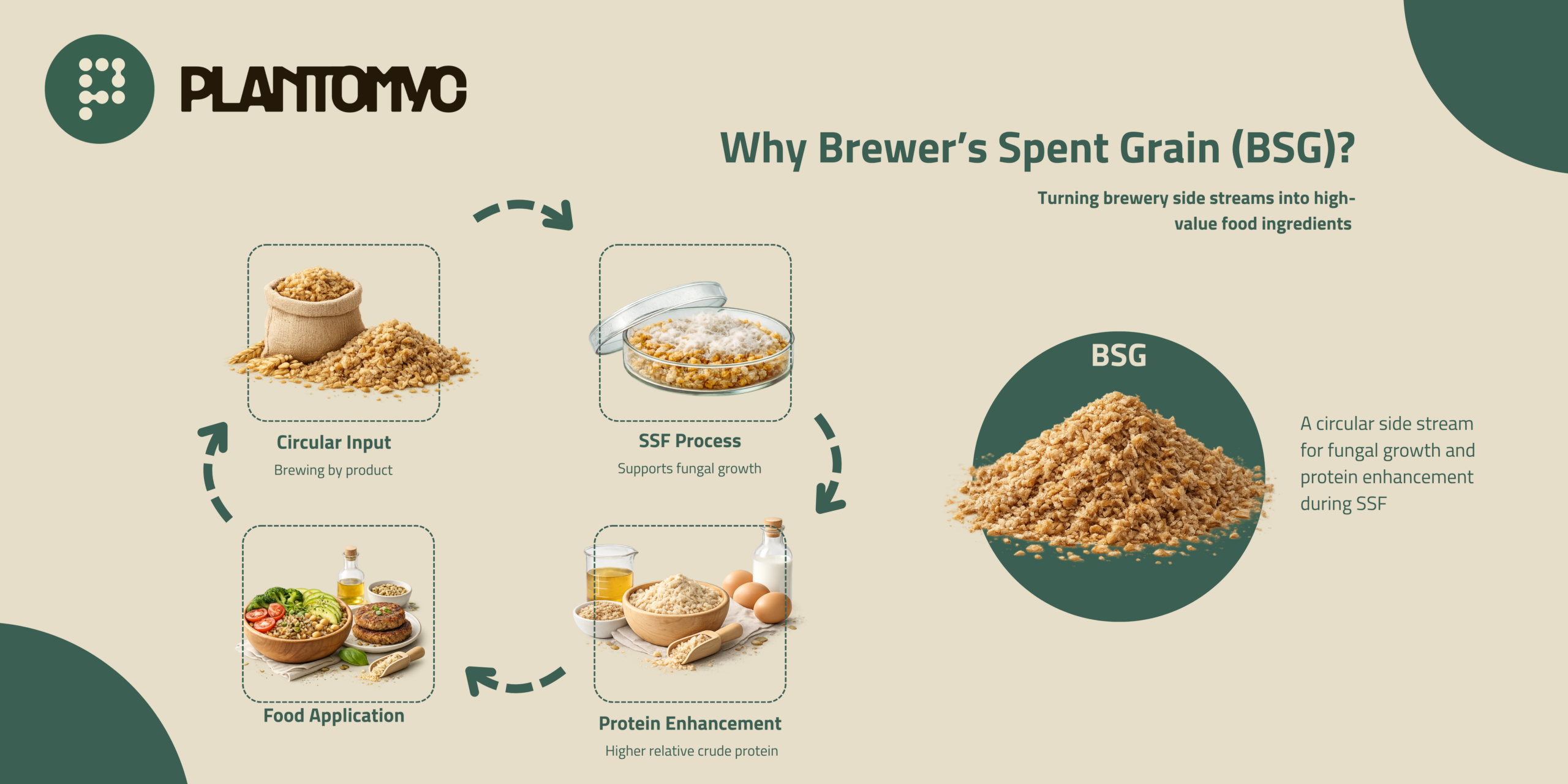 ♻️Why Brewer’s Spent Grain (BSG)?